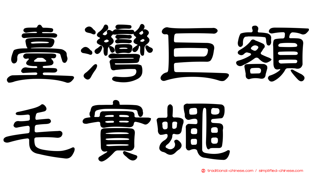 臺灣巨額毛實蠅