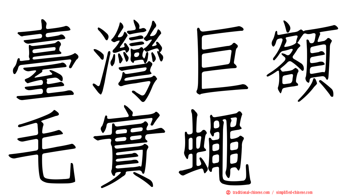 臺灣巨額毛實蠅