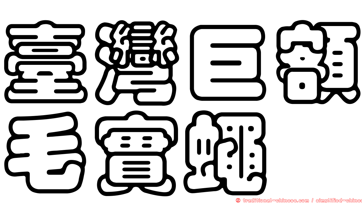 臺灣巨額毛實蠅