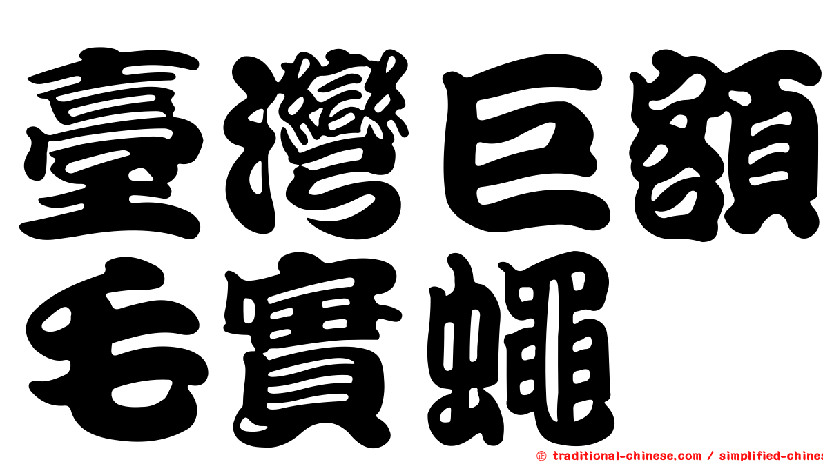 臺灣巨額毛實蠅