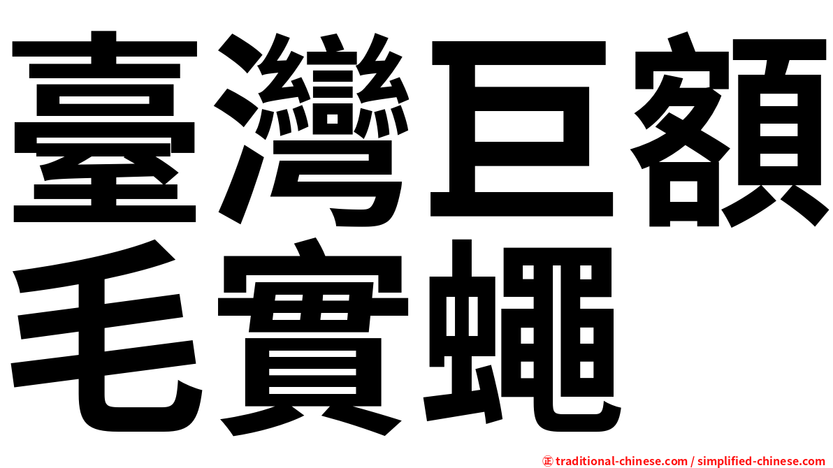 臺灣巨額毛實蠅
