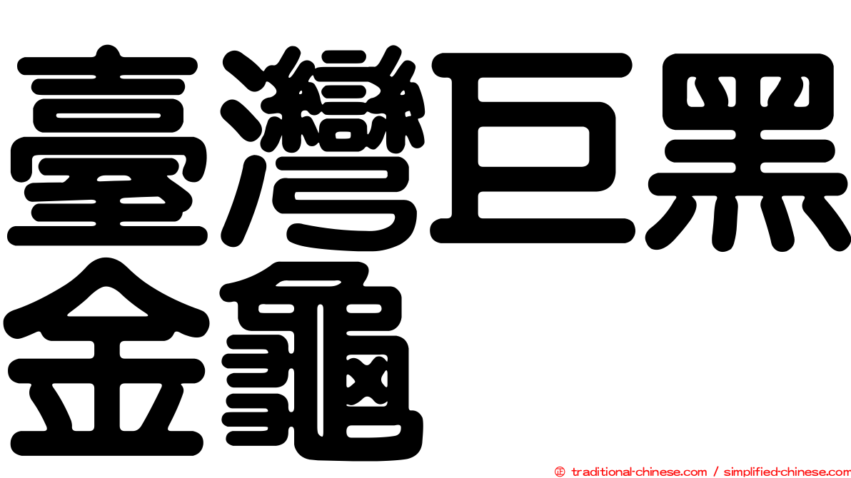 臺灣巨黑金龜