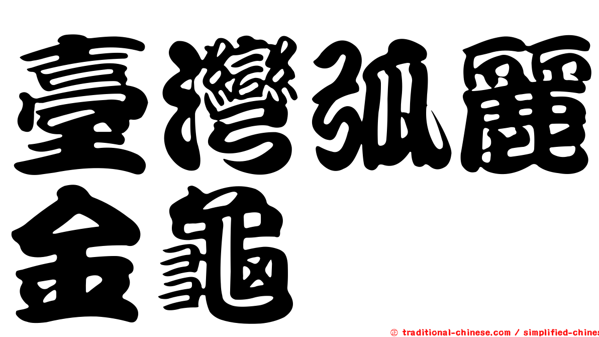 臺灣弧麗金龜