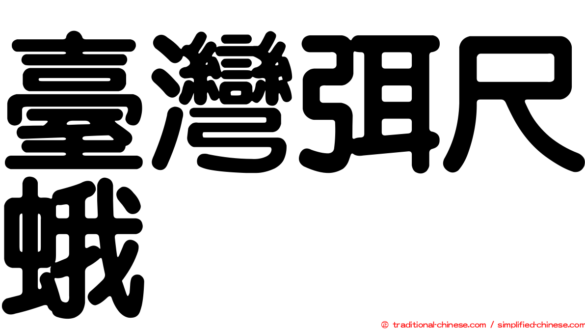 臺灣弭尺蛾