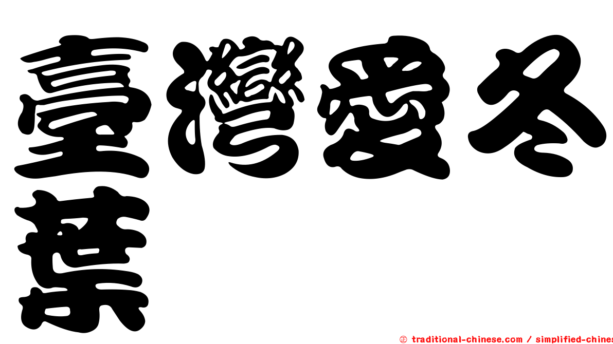 臺灣愛冬葉