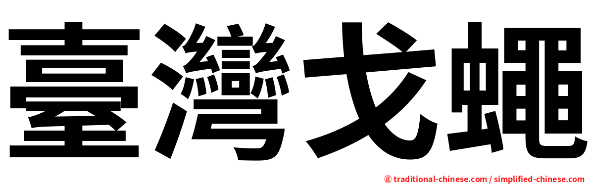 臺灣戈蠅
