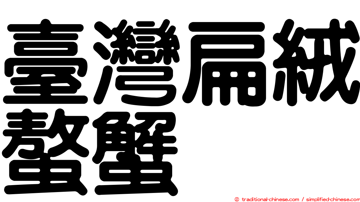 臺灣扁絨螯蟹