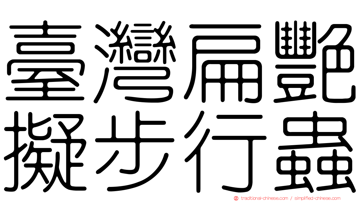 臺灣扁艷擬步行蟲