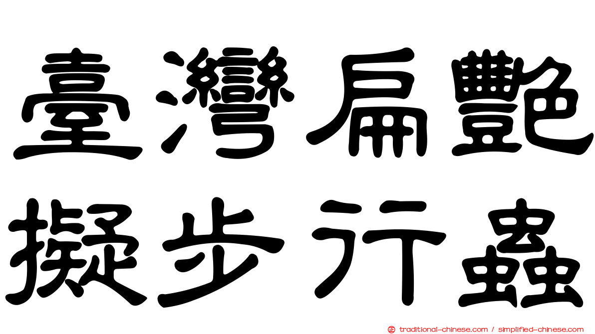臺灣扁艷擬步行蟲