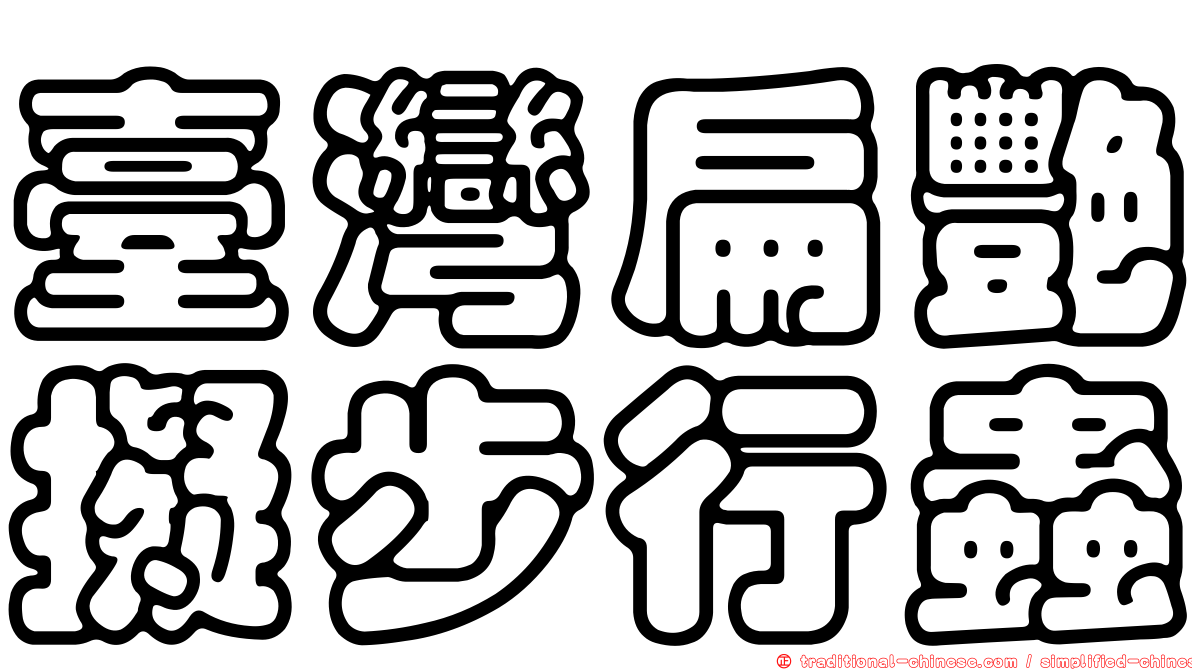 臺灣扁艷擬步行蟲