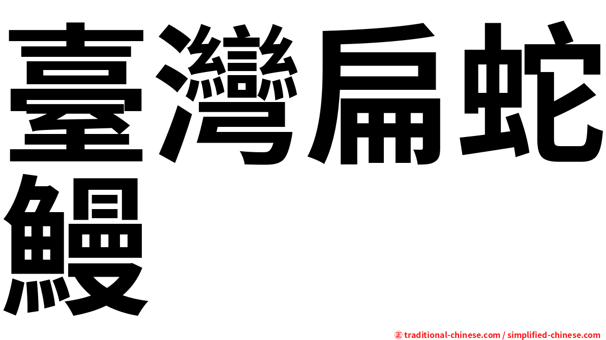 臺灣扁蛇鰻