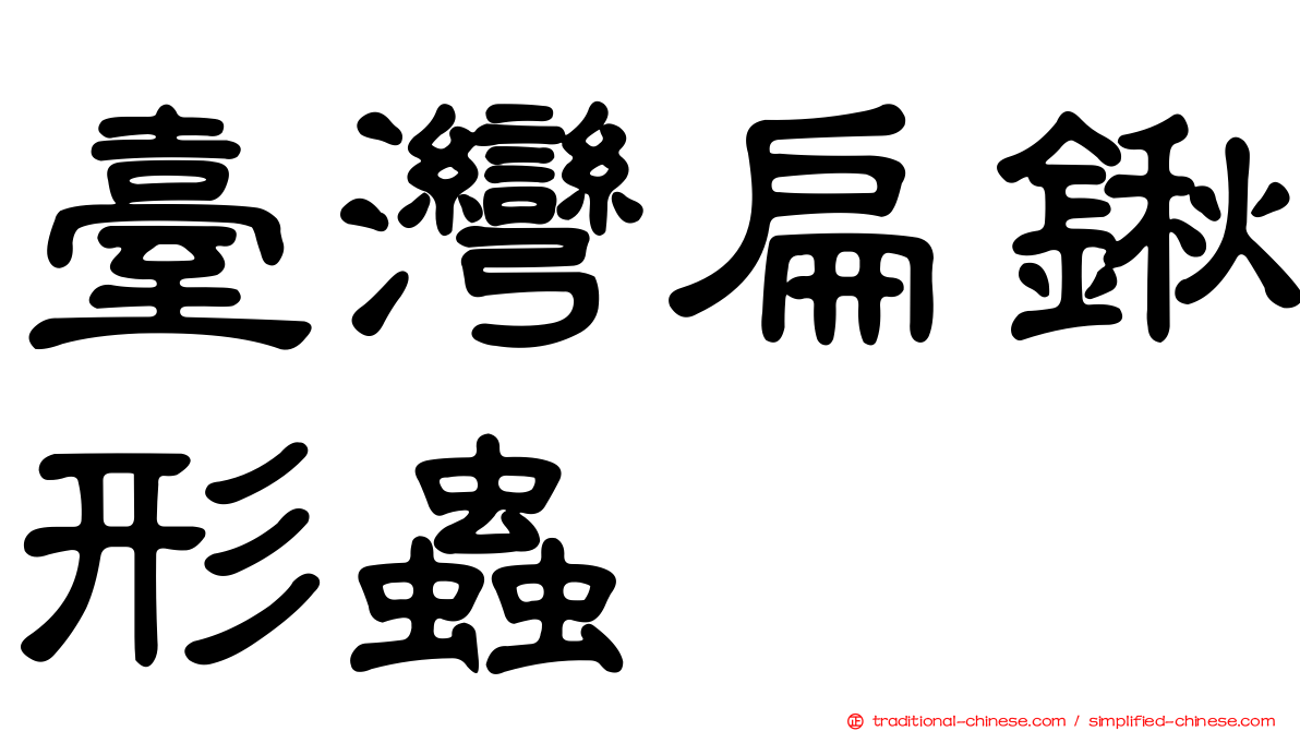 臺灣扁鍬形蟲