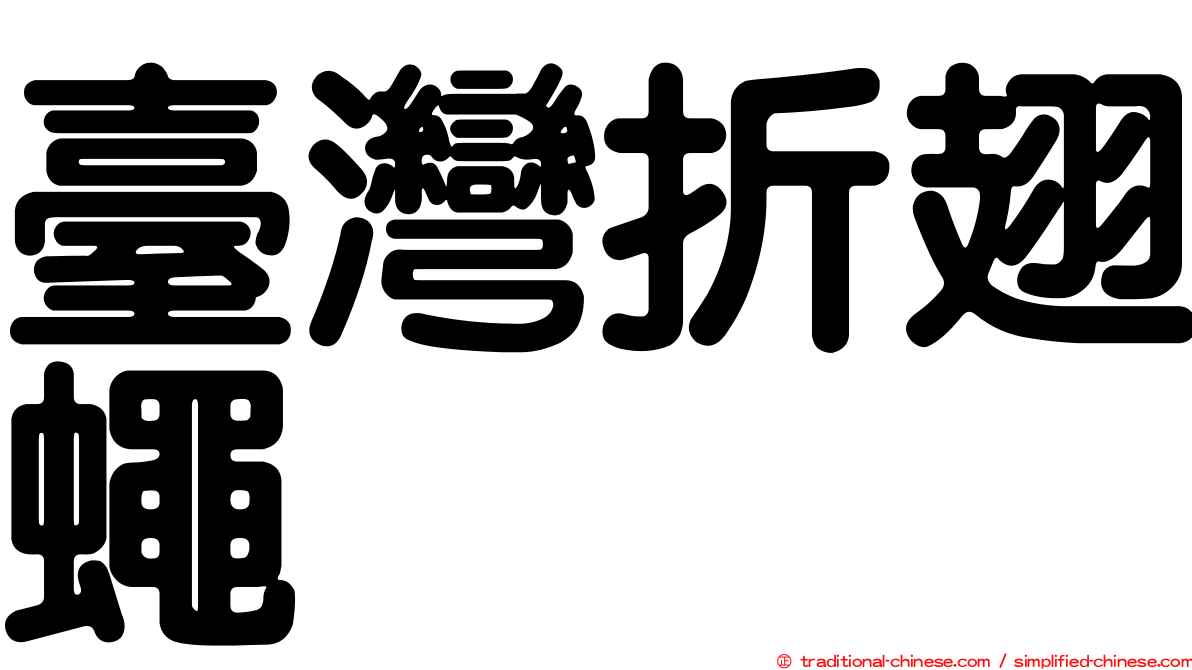 臺灣折翅蠅