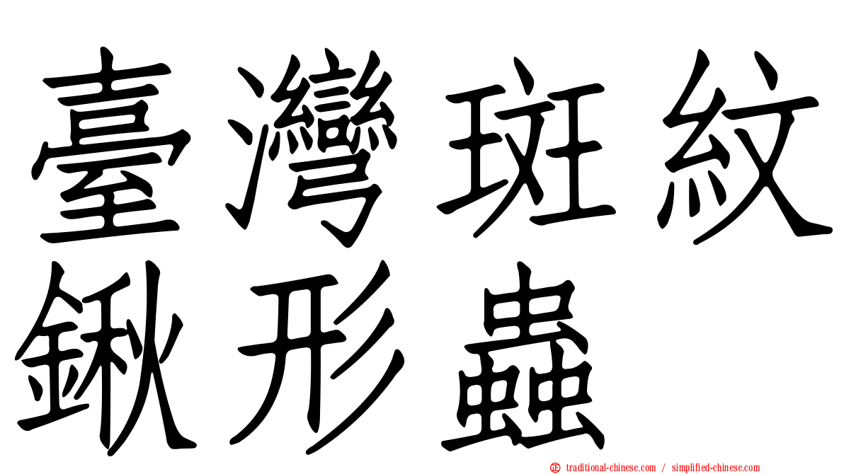 臺灣斑紋鍬形蟲