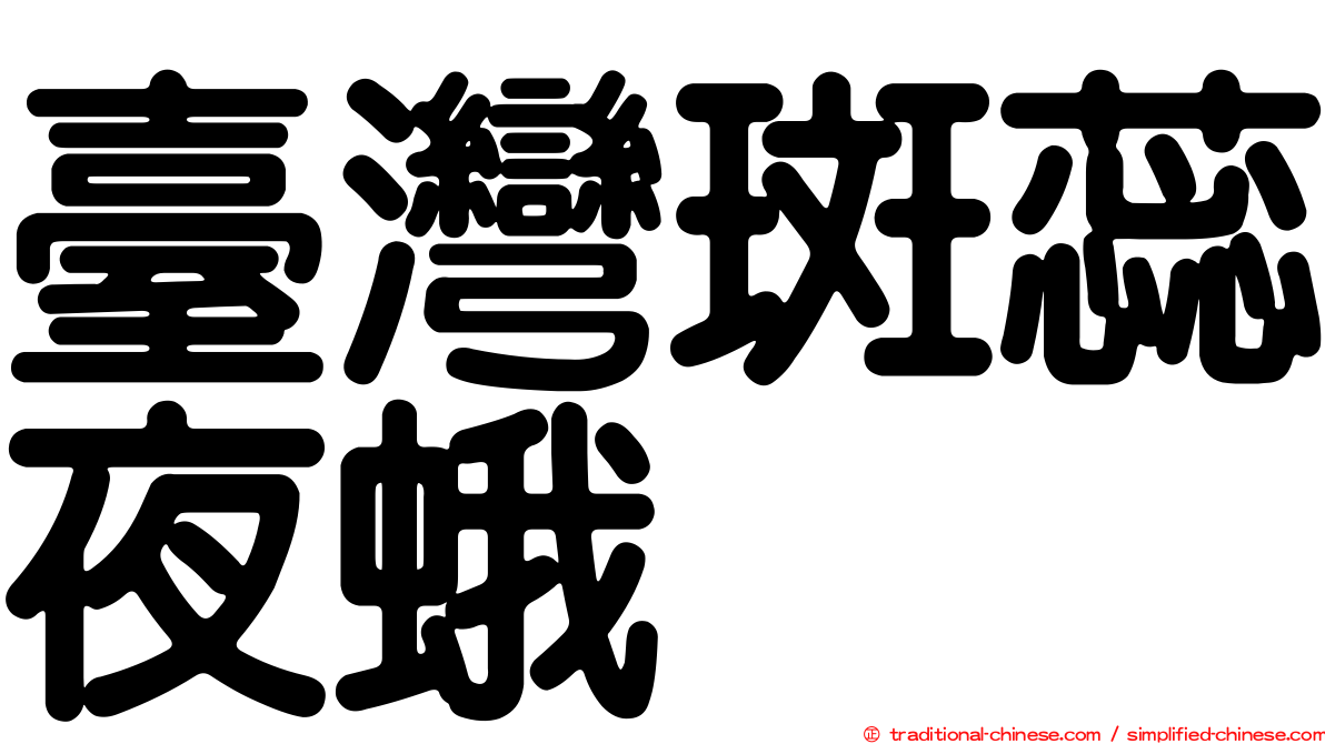 臺灣斑蕊夜蛾