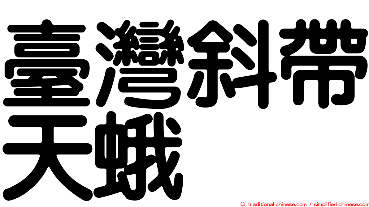 臺灣斜帶天蛾