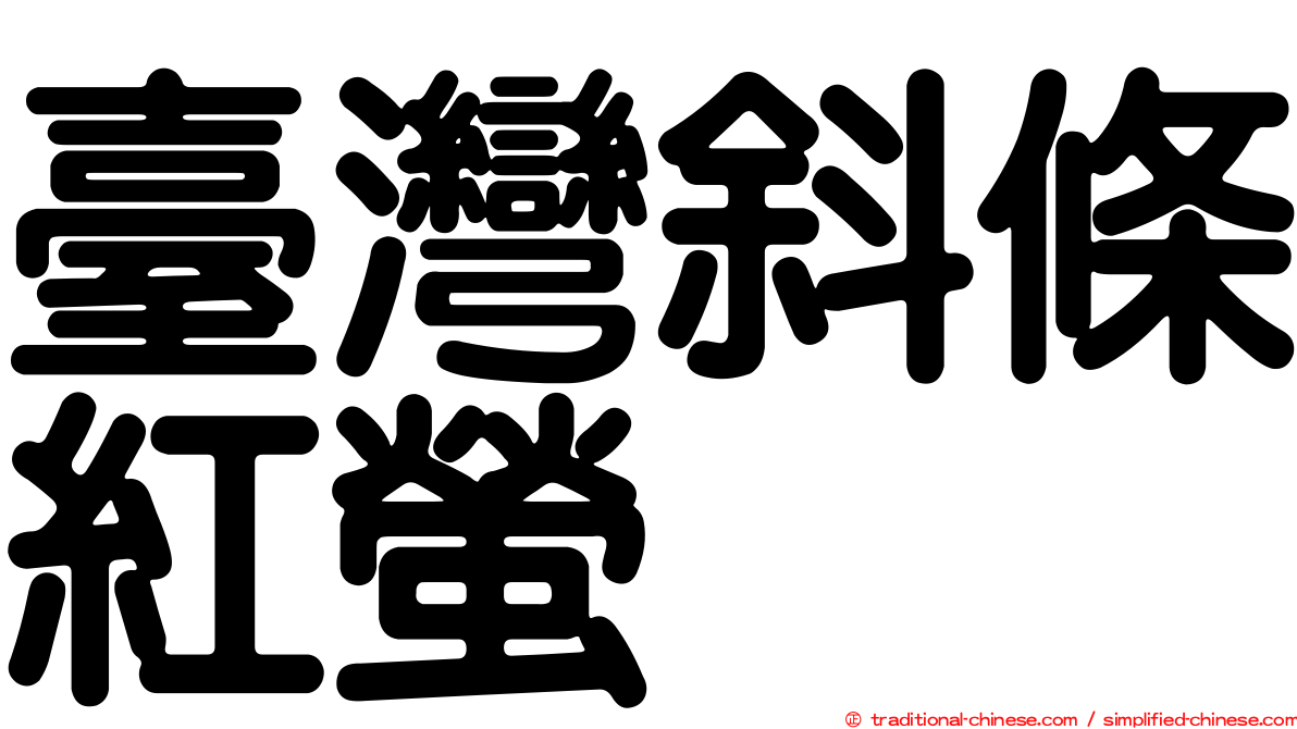 臺灣斜條紅螢