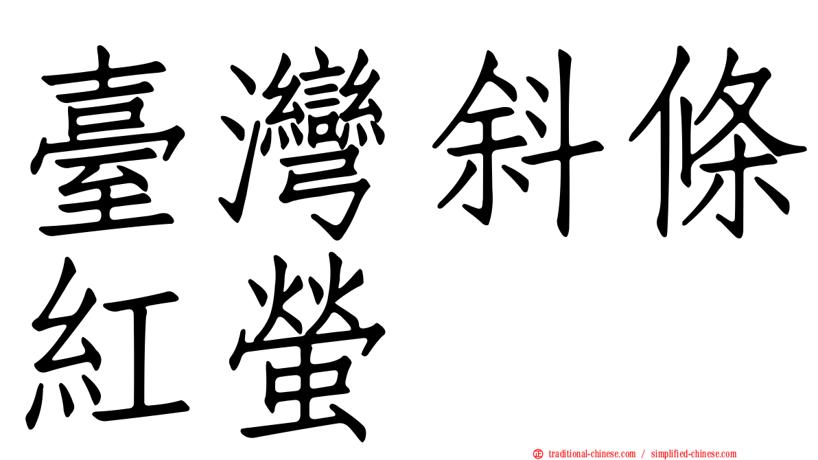 臺灣斜條紅螢