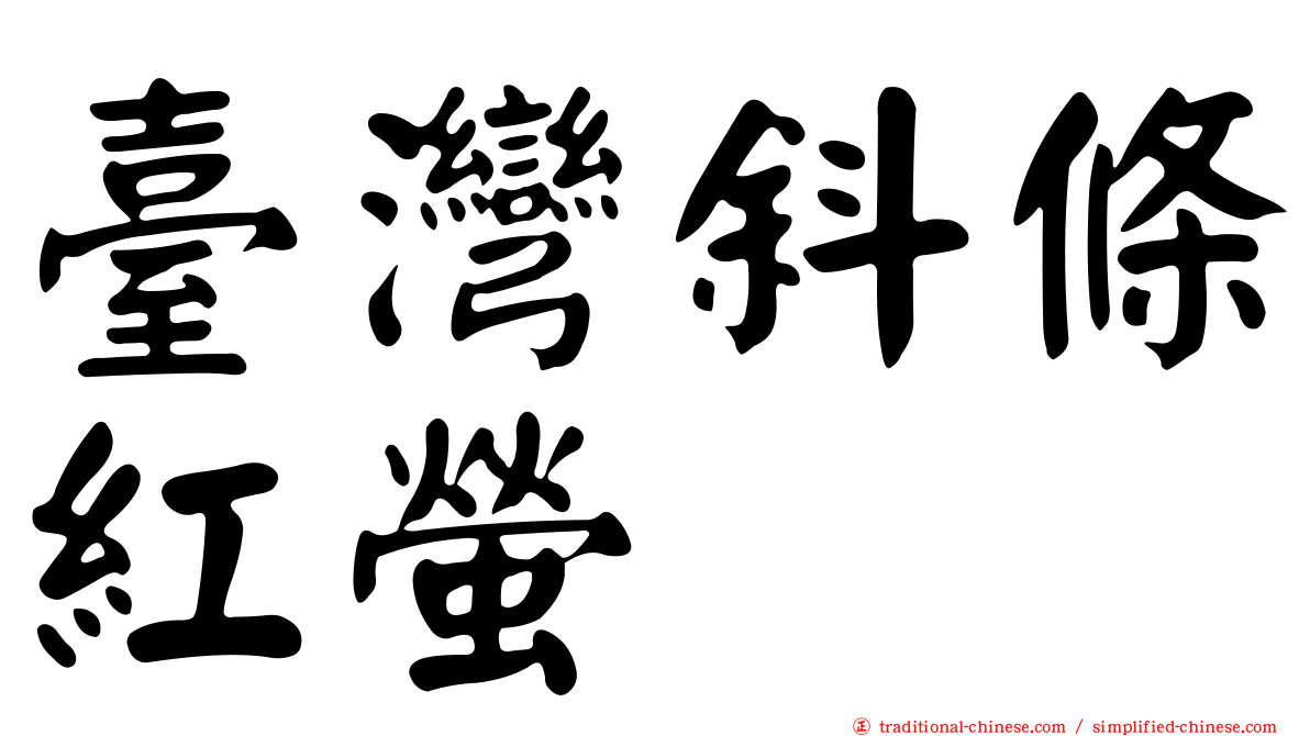 臺灣斜條紅螢