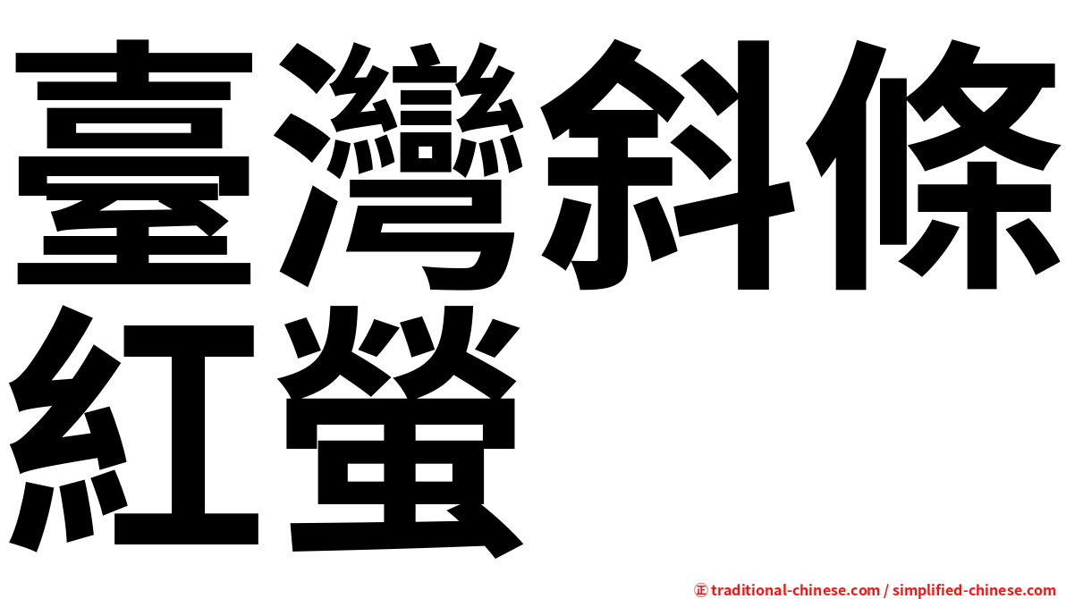 臺灣斜條紅螢