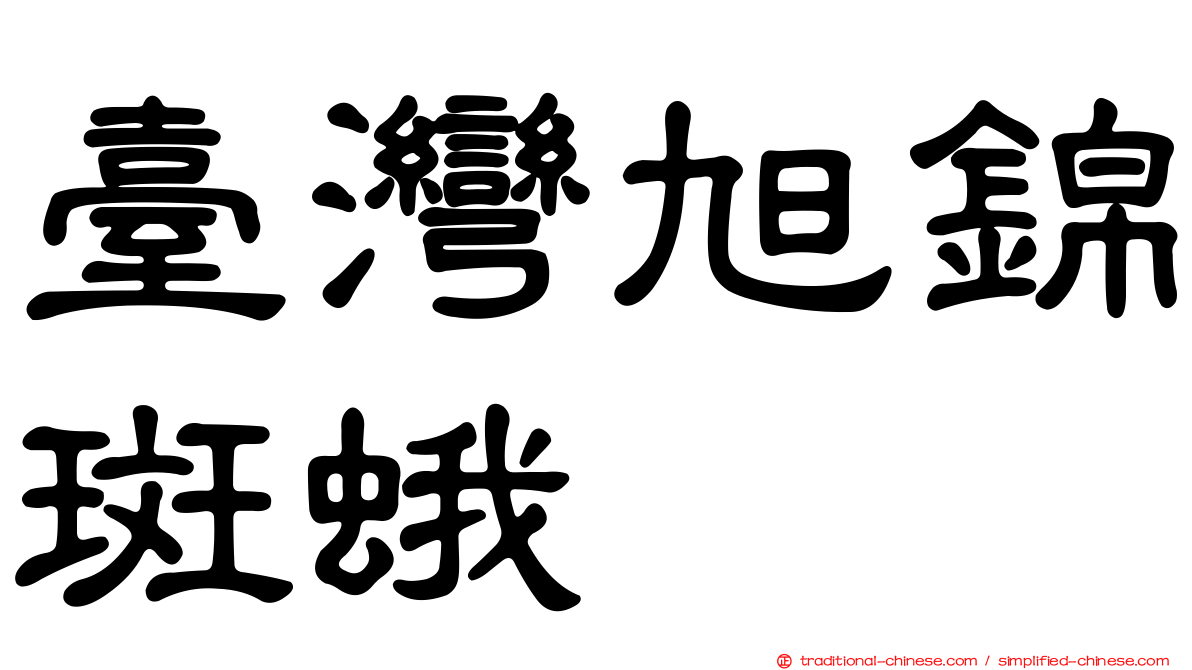臺灣旭錦斑蛾