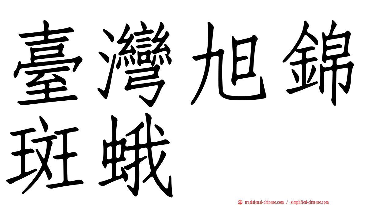 臺灣旭錦斑蛾