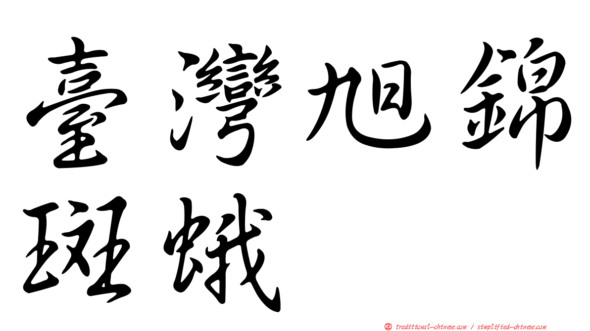 臺灣旭錦斑蛾