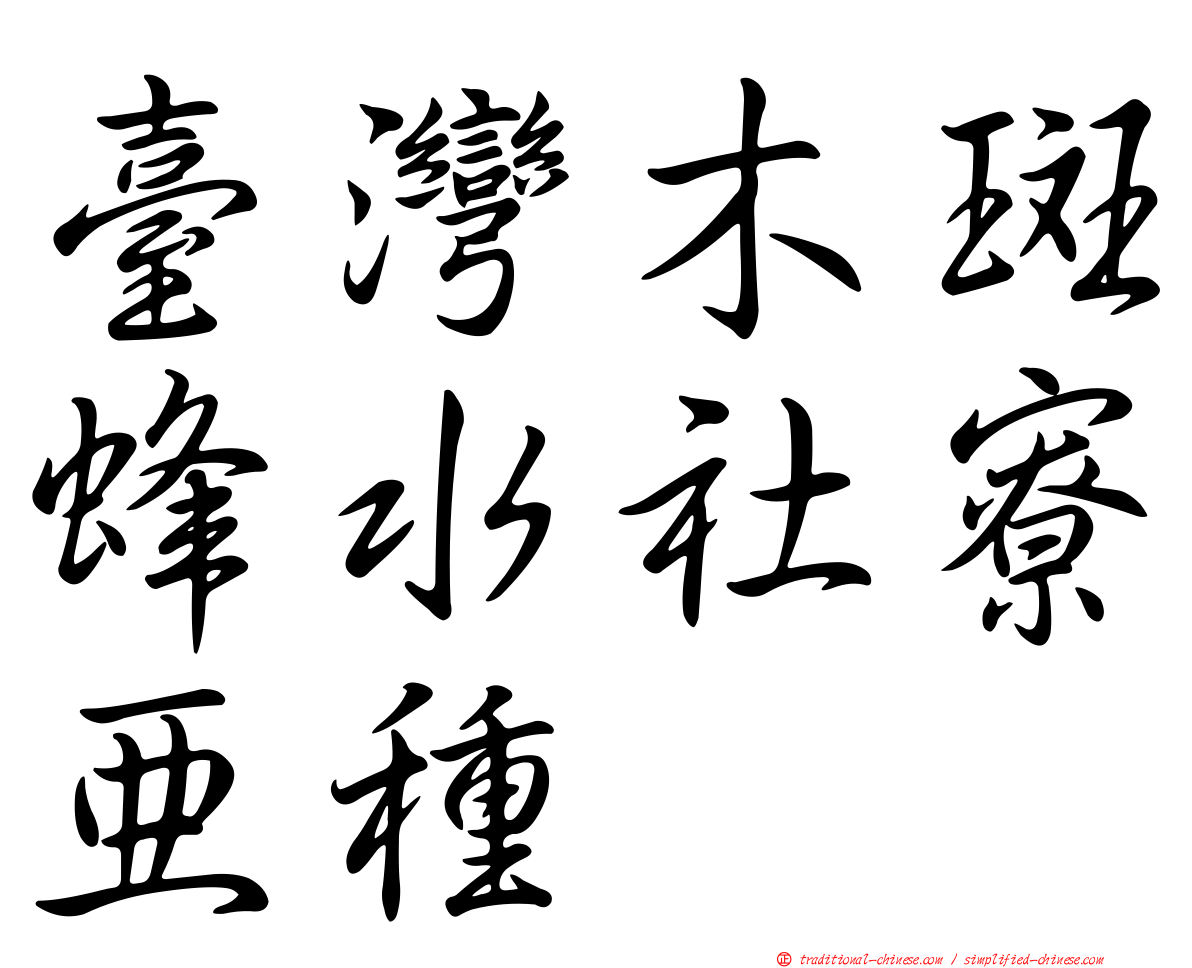 臺灣木斑蜂水社寮亞種
