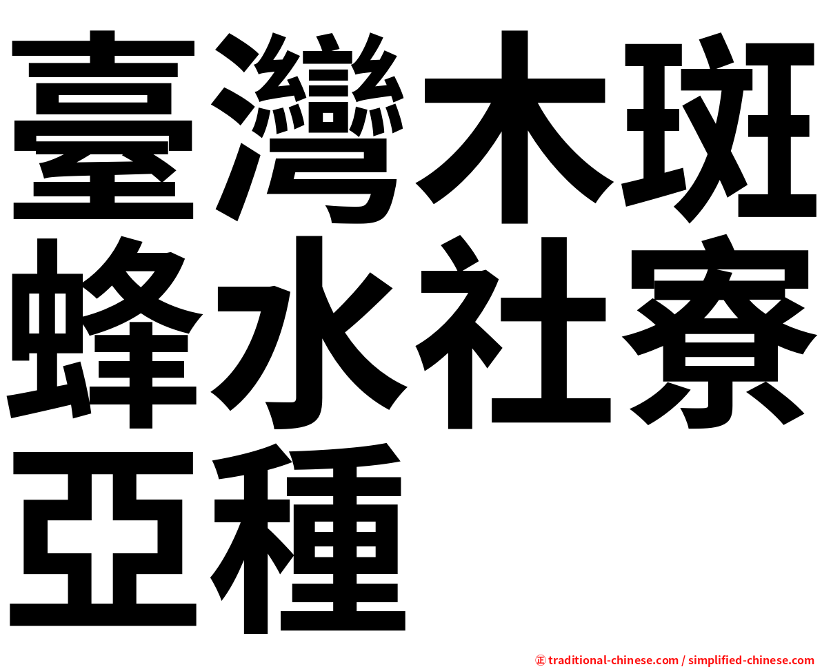 臺灣木斑蜂水社寮亞種