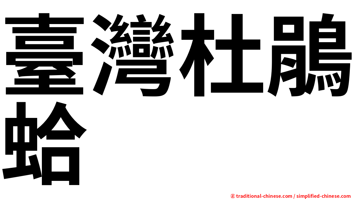 臺灣杜鵑蛤