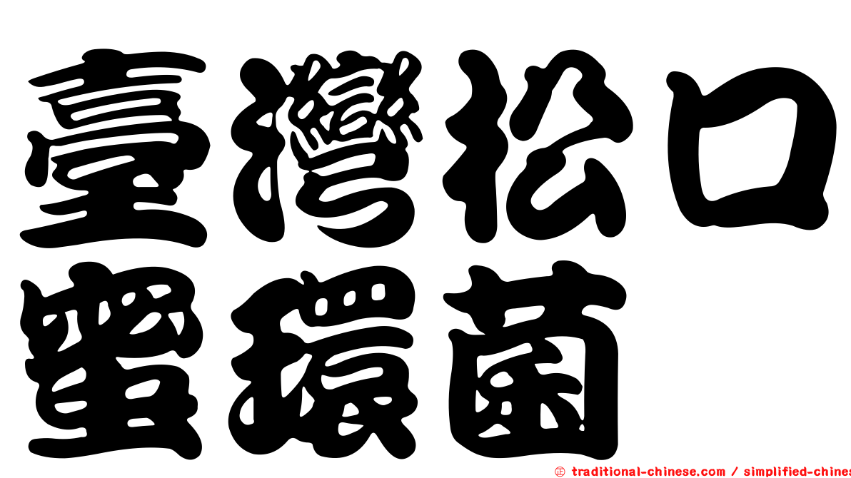 臺灣松口蜜環菌