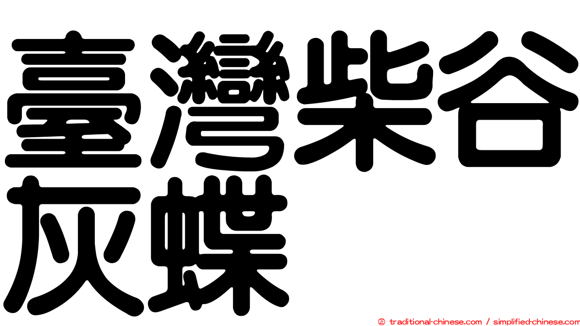 臺灣柴谷灰蝶