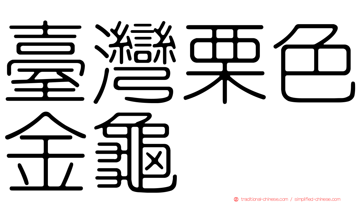 臺灣栗色金龜