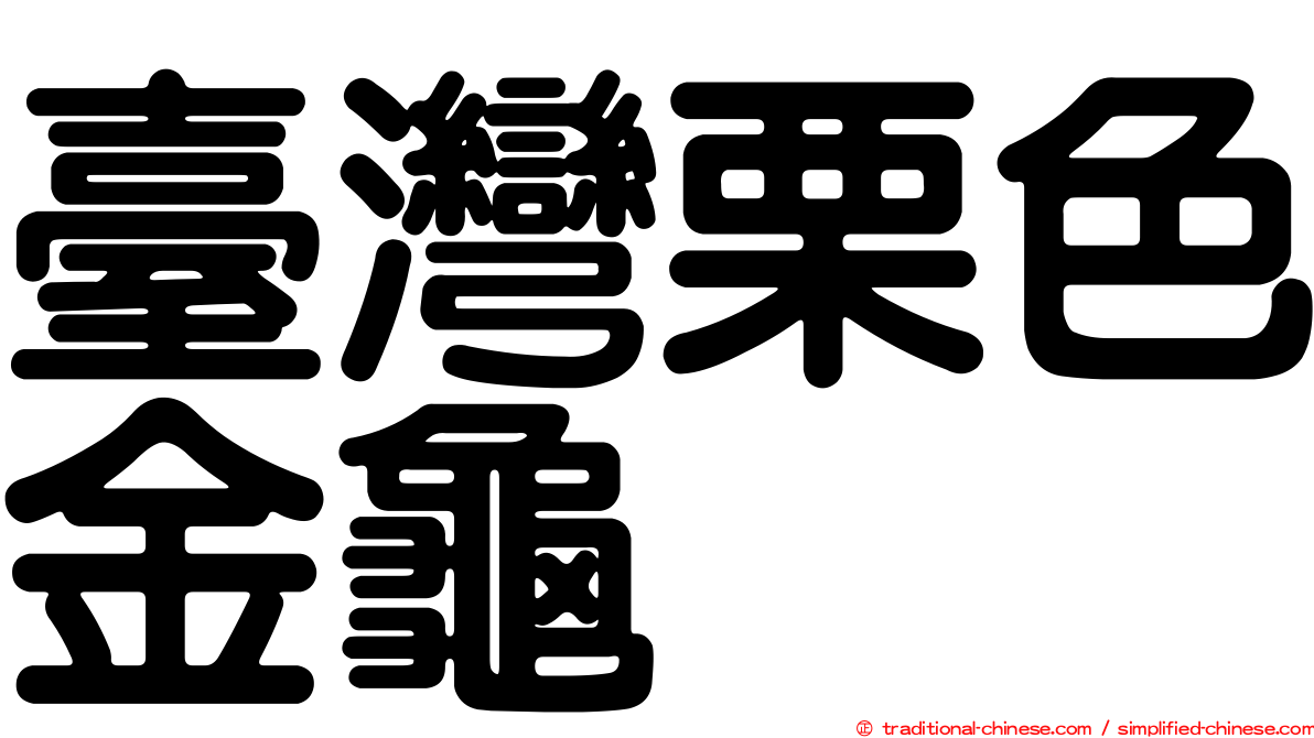臺灣栗色金龜