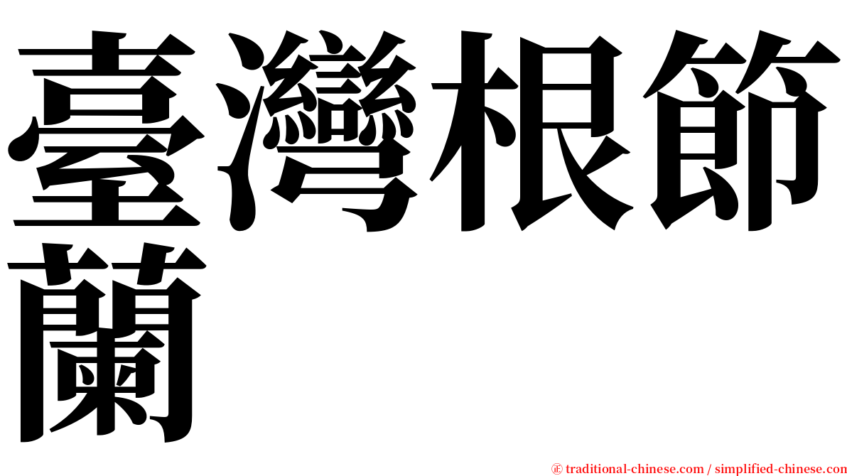 臺灣根節蘭 serif font