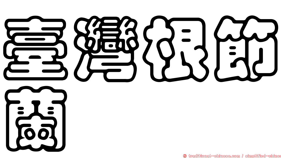 臺灣根節蘭