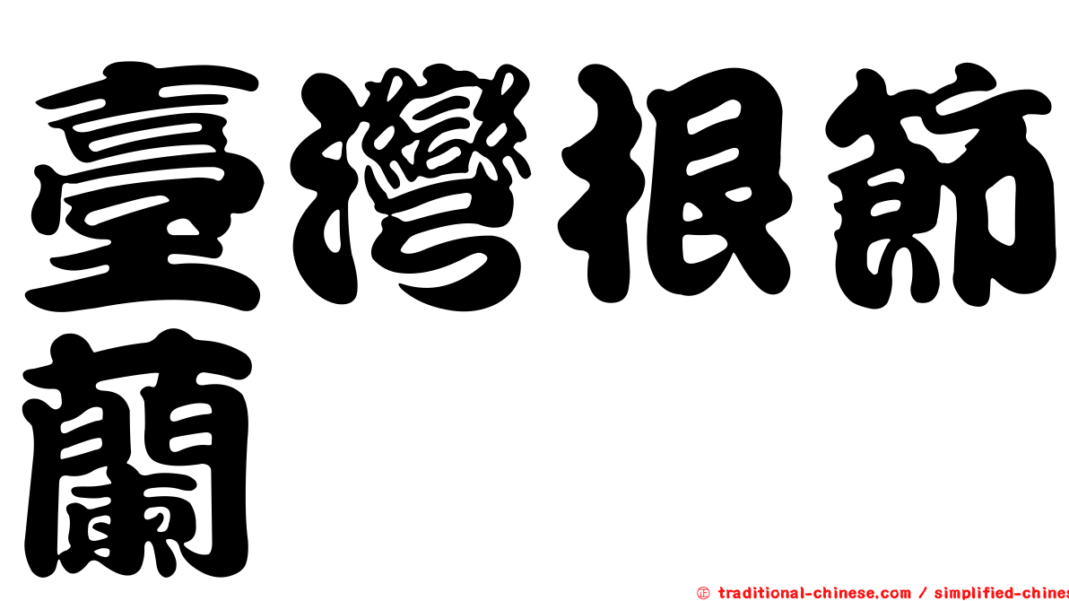 臺灣根節蘭