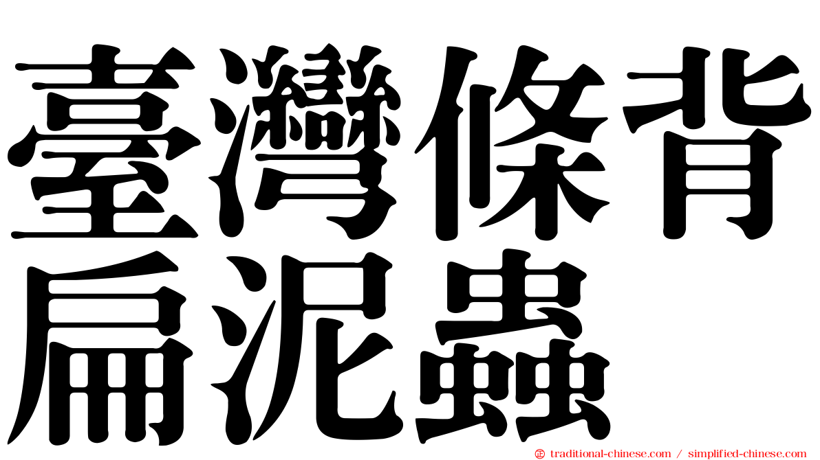 臺灣條背扁泥蟲