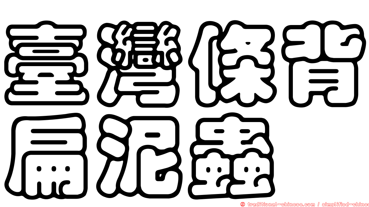 臺灣條背扁泥蟲