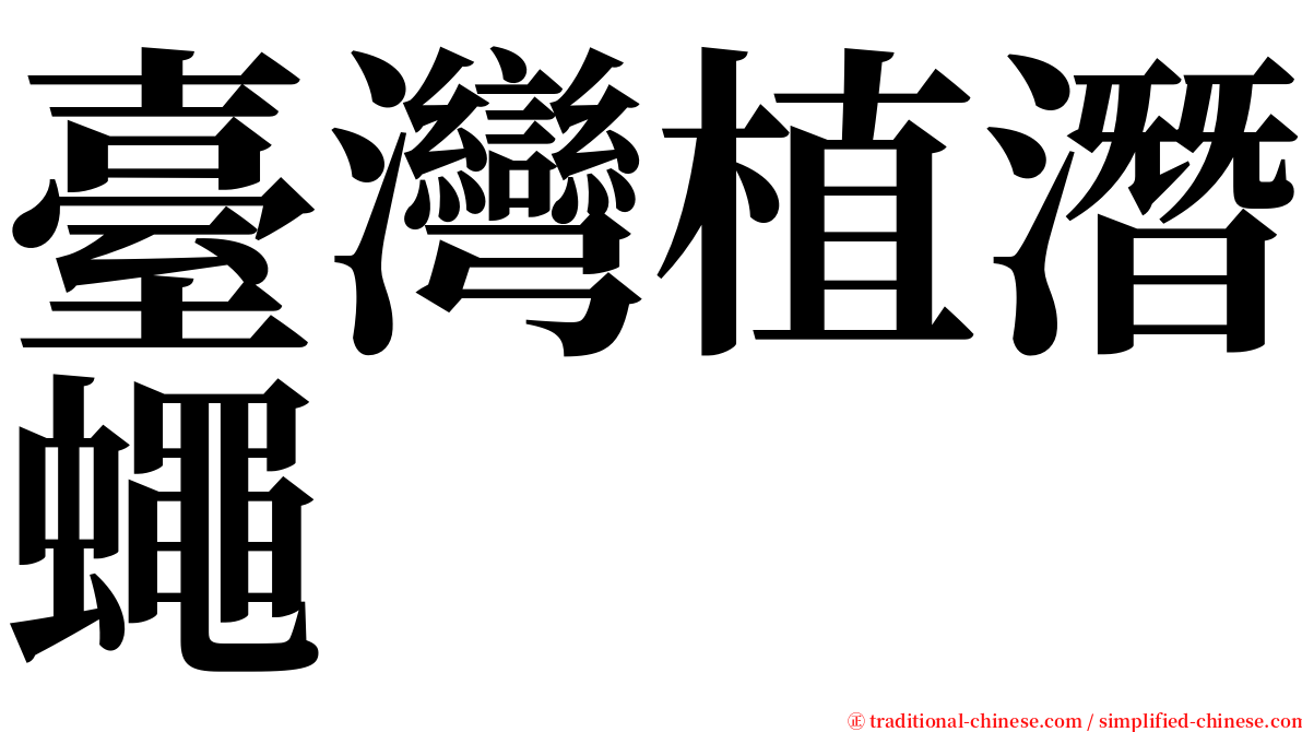 臺灣植潛蠅 serif font