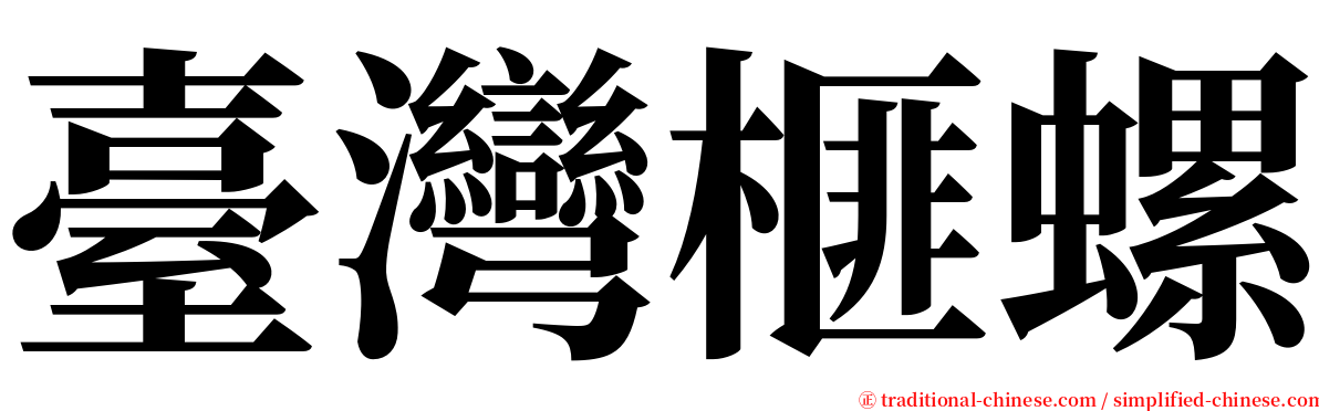 臺灣榧螺 serif font