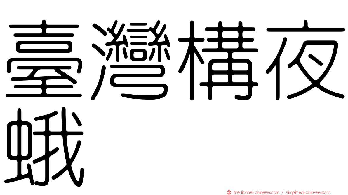 臺灣構夜蛾