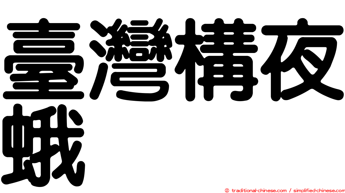 臺灣構夜蛾