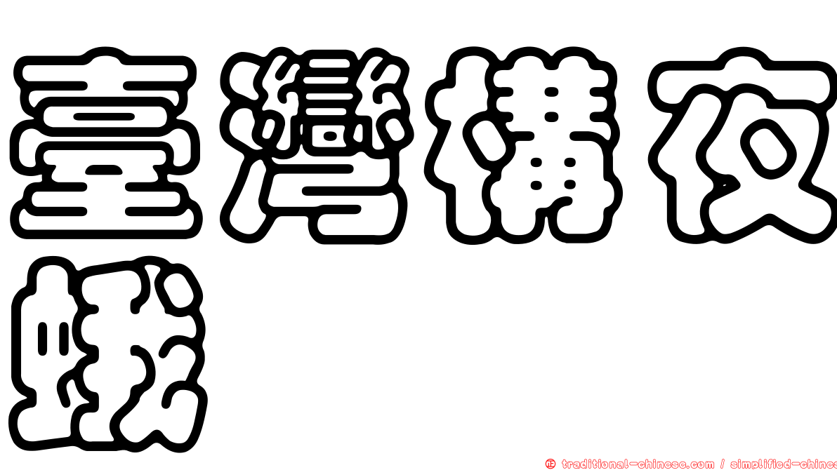 臺灣構夜蛾