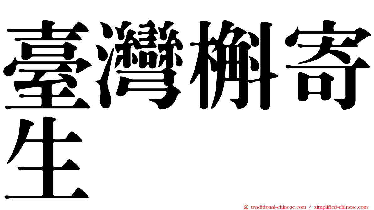 臺灣槲寄生