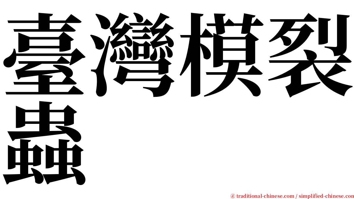 臺灣模裂蟲 serif font