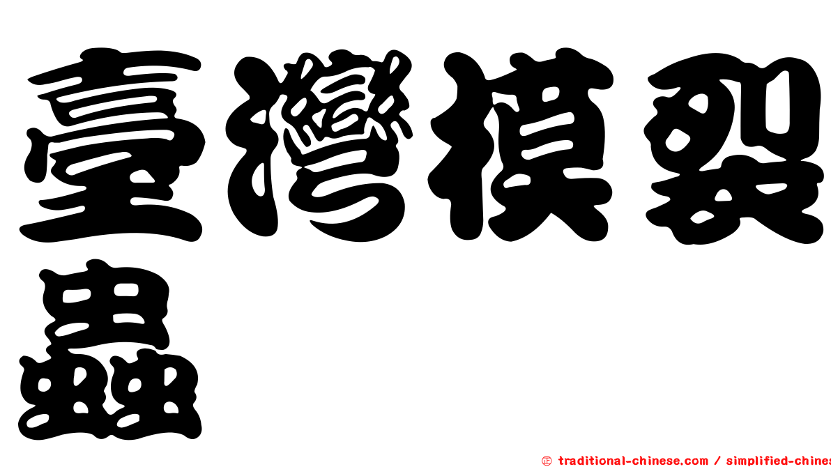 臺灣模裂蟲
