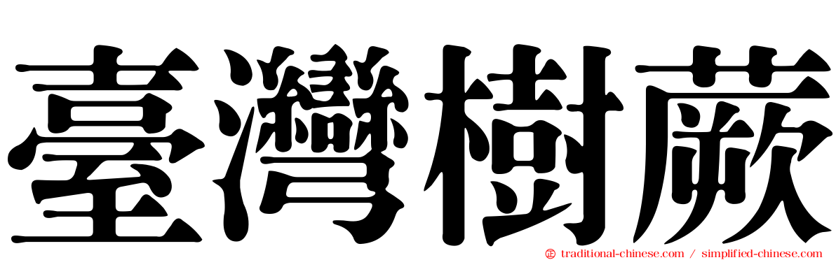 臺灣樹蕨