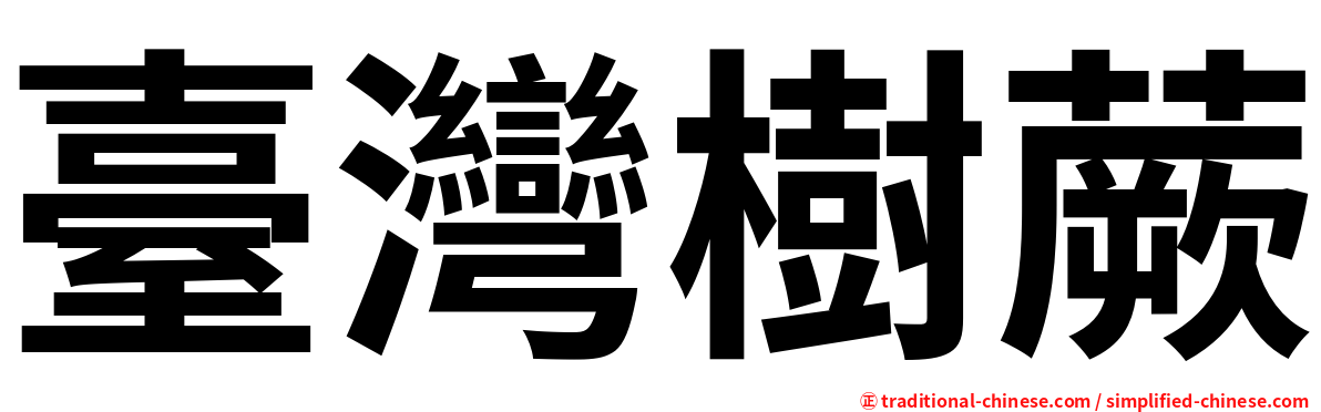 臺灣樹蕨
