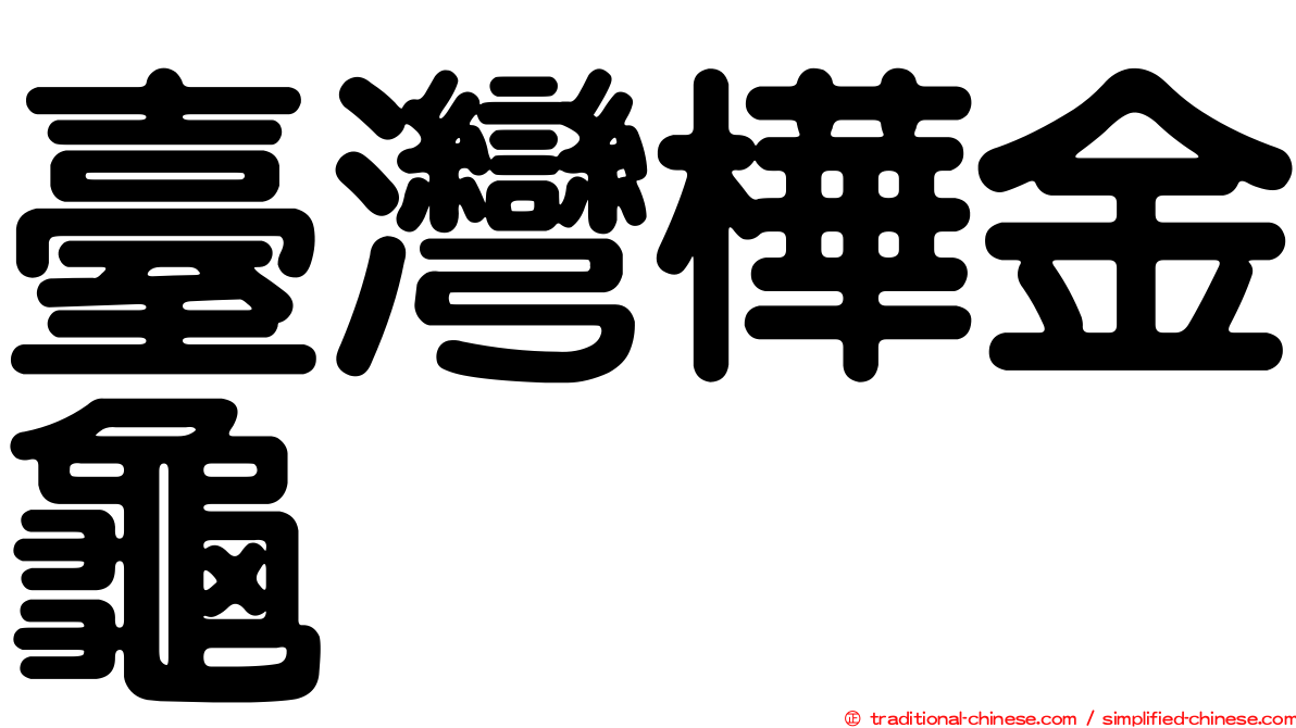 臺灣樺金龜